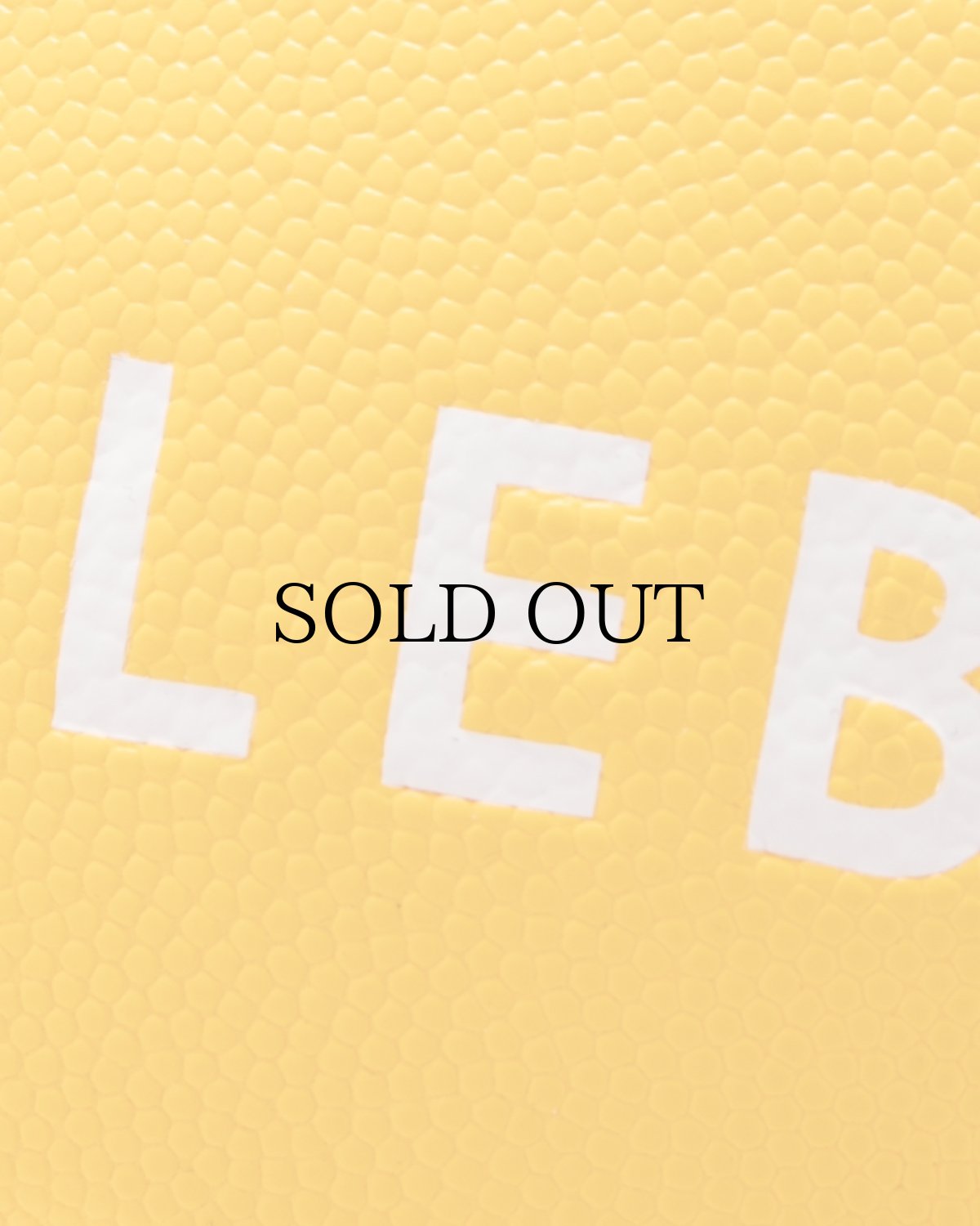 画像6: APPLEBUM(アップルバム) / APPLEBUM × TACHIKARA CUSTOM BASKETBALL “Y.E.L.” (6)