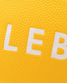 画像6: APPLEBUM(アップルバム) / APPLEBUM × TACHIKARA CUSTOM BASKETBALL “Y.E.L.” (6)