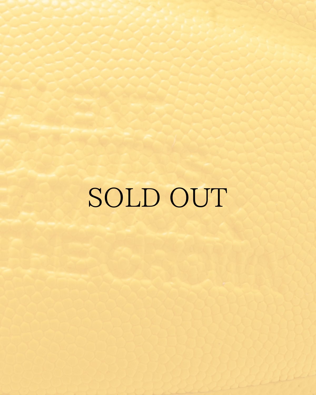 画像7: APPLEBUM(アップルバム) / APPLEBUM × TACHIKARA CUSTOM BASKETBALL “Y.E.L.” (7)