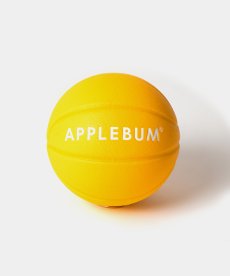 画像1: APPLEBUM(アップルバム) / APPLEBUM × TACHIKARA CUSTOM BASKETBALL “Y.E.L.” (1)