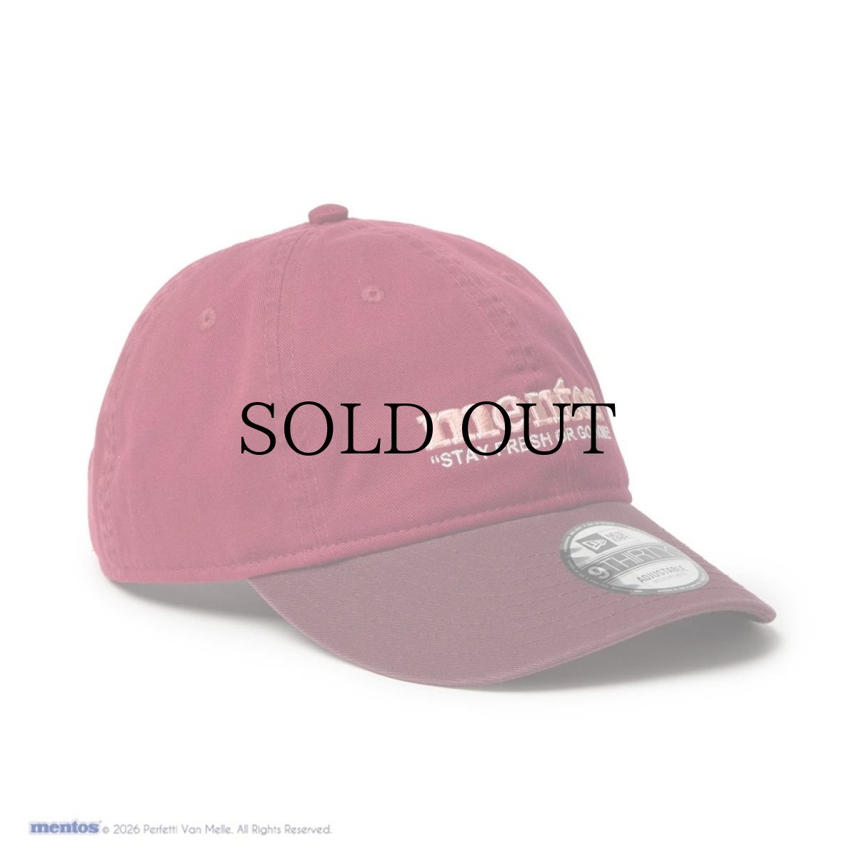 画像3: NEW ERA / 9THIRTY mentos メントス 2-Tone (3)