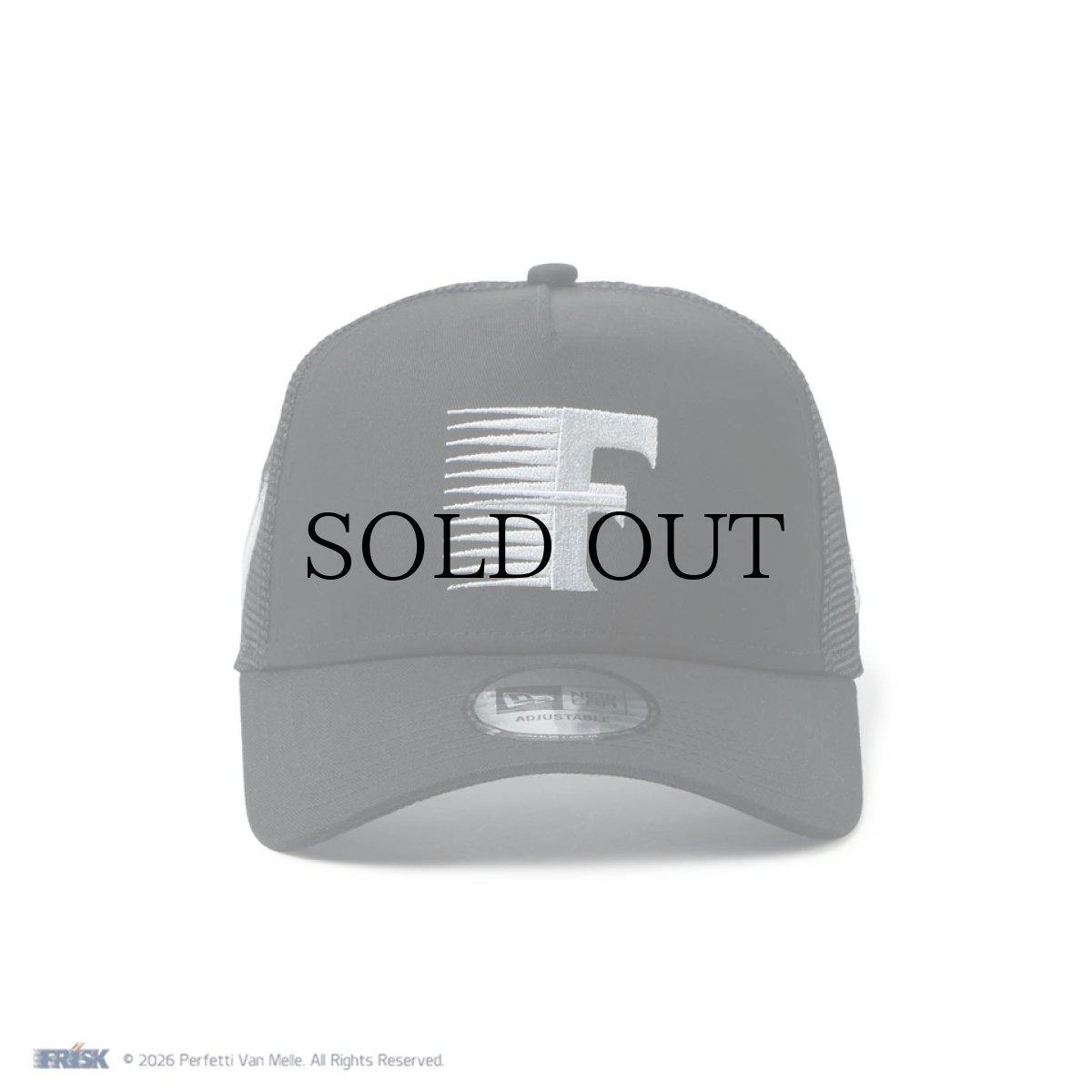 画像2: NEW ERA / 9FORTY A-Frame トラッカー FRISK フリスク (2)