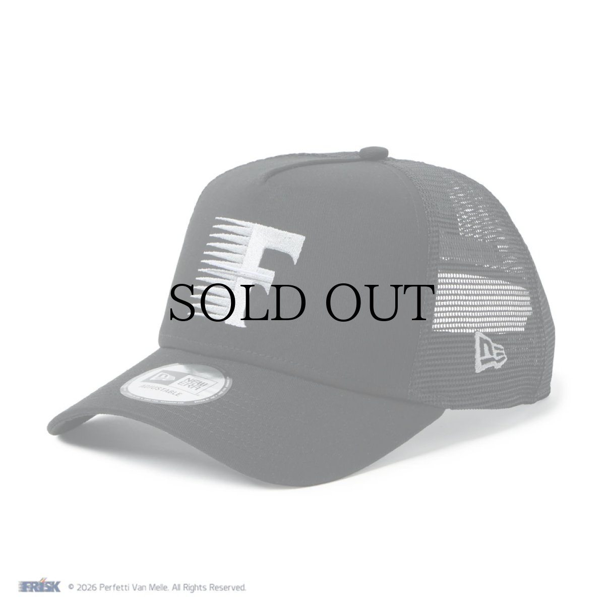 画像3: NEW ERA / 9FORTY A-Frame トラッカー FRISK フリスク (3)