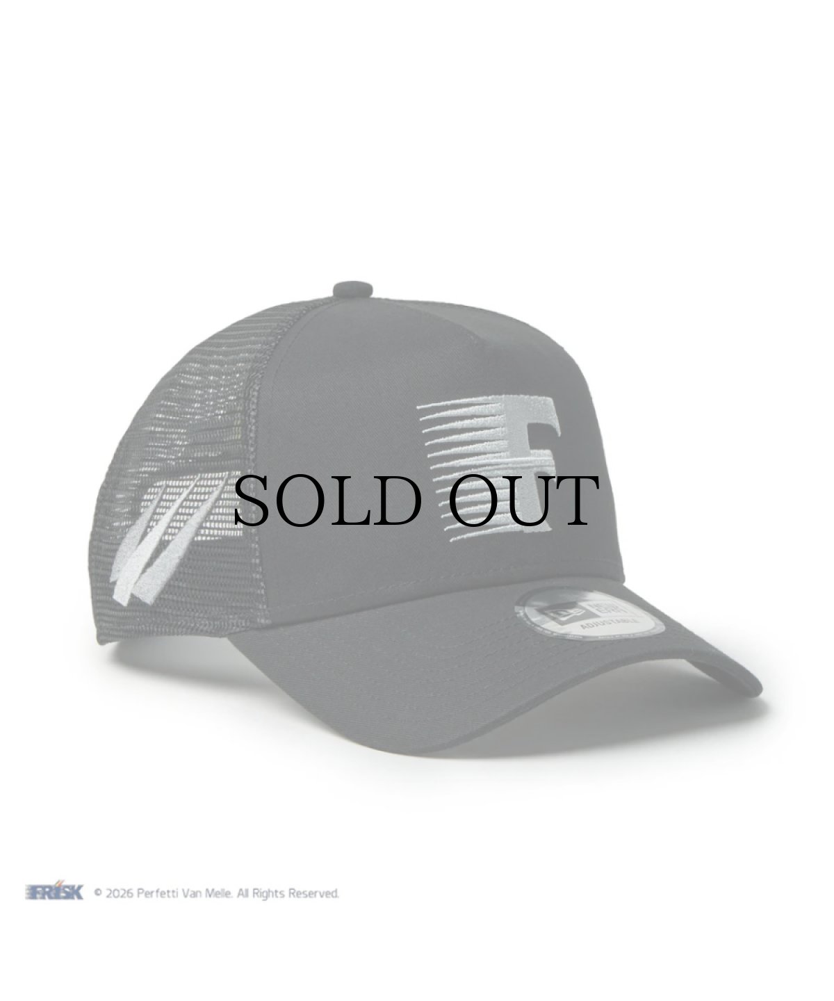 画像1: NEW ERA / 9FORTY A-Frame トラッカー FRISK フリスク (1)