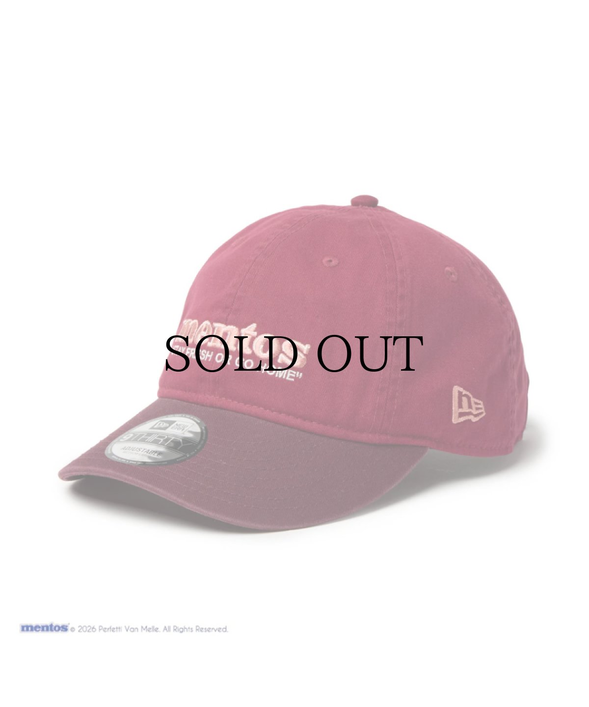 画像1: NEW ERA / 9THIRTY mentos メントス 2-Tone (1)