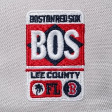 画像7: NEW ERA / 59FIFTY Cactus & Grape Fruit ボストン・レッドソックス (7)