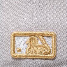 画像8: NEW ERA / 59FIFTY Cactus & Grape Fruit デトロイト・タイガース (8)