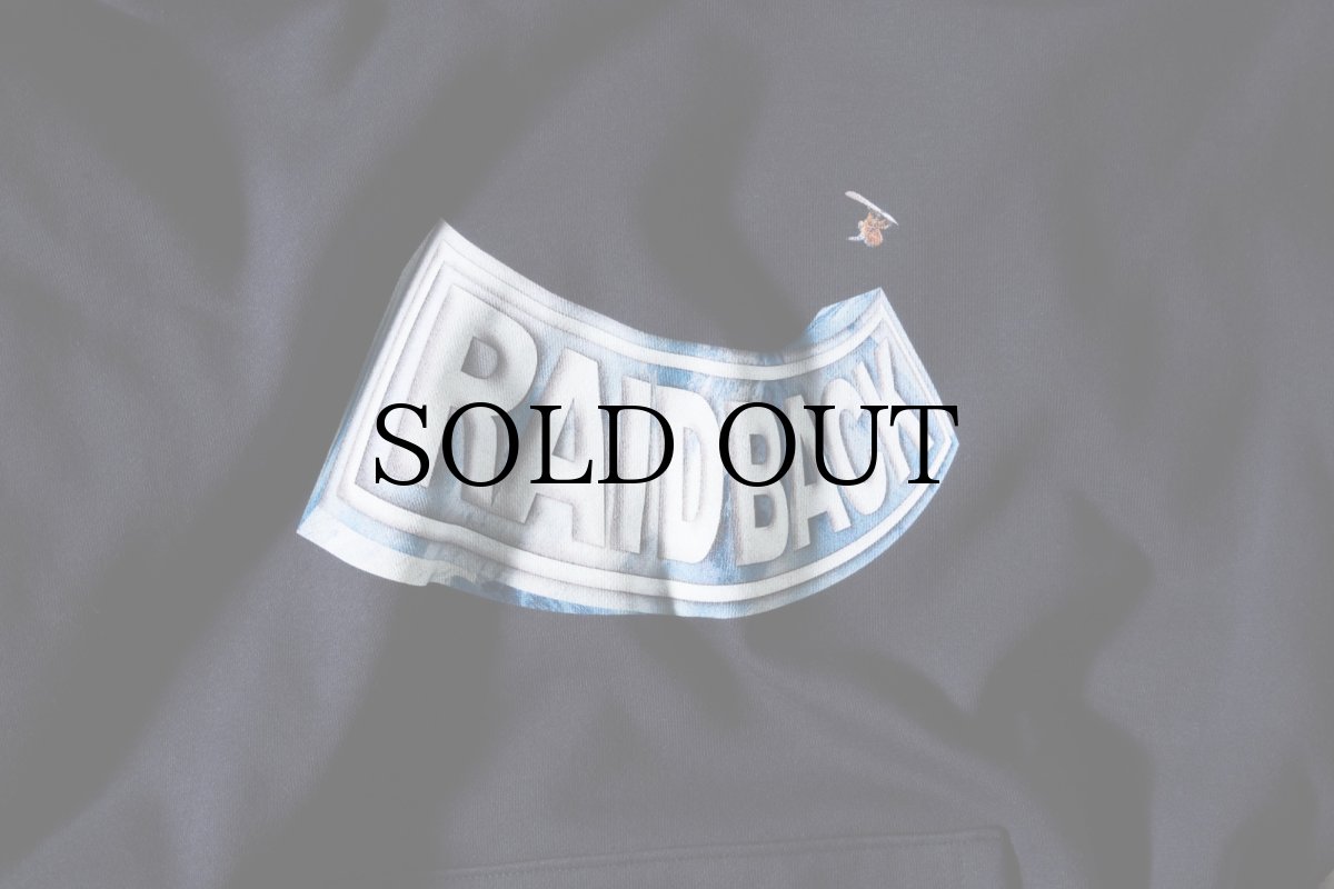 画像5: RAIDBACK FABRIC(レイドバック ファブリック) / SNOW CUBE ARCH HOODIE (5)