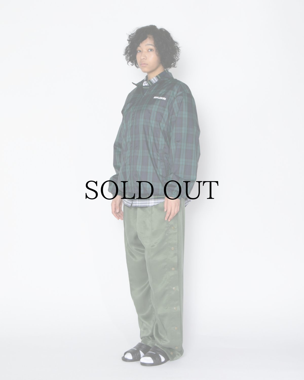 画像16: APPLEBUM(アップルバム) / BENSAN (16)