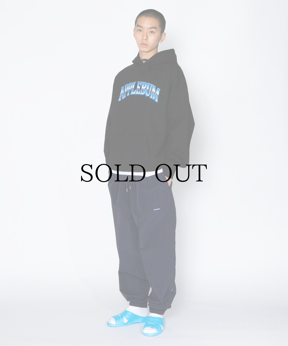 画像7: APPLEBUM(アップルバム) / BENSAN (7)