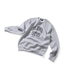 画像1: BLEND STUDIOS / COLLEGE FLOCKING SWEAT (1)