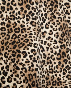 画像13: APPLEBUM(アップルバム) / “Leopard” Coach Jacket (13)
