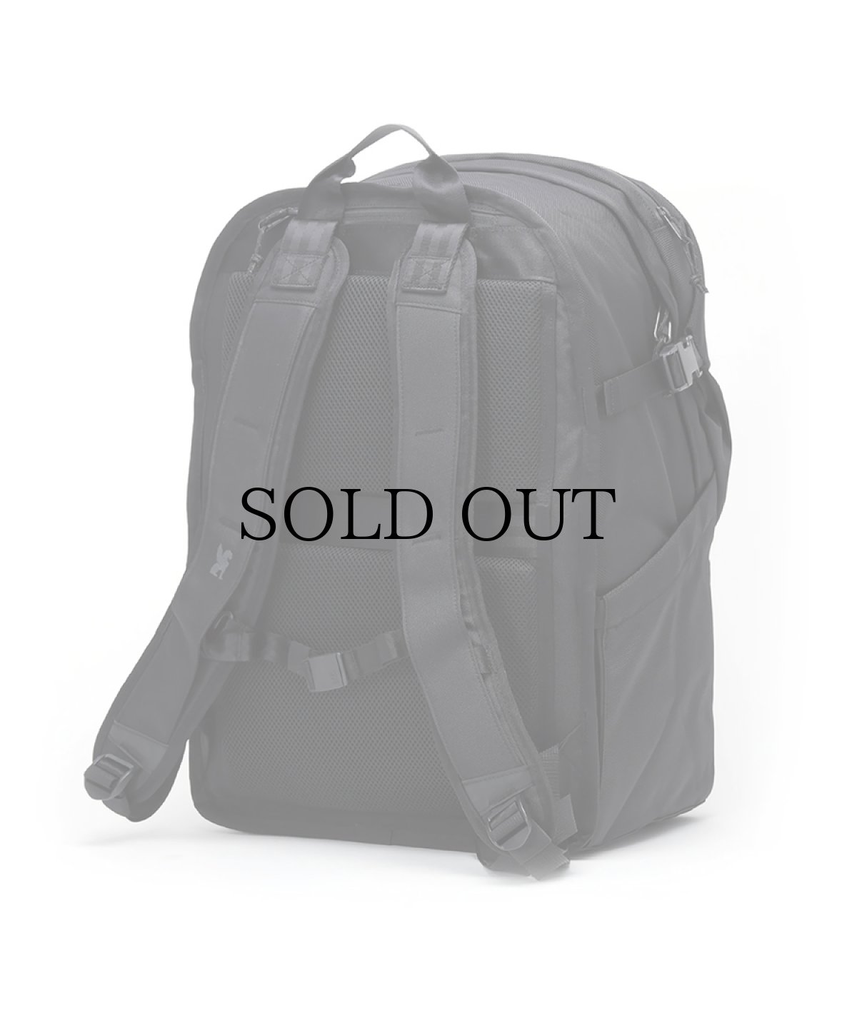 画像3: HIDEANDSEEK(ハイドアンドシーク) / H&S × CHROME Backpack (EXTLEX 38L PACK) (3)