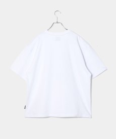 画像5: APPLEBUM(アップルバム) / “Leafed" Logo T-shirt (5)