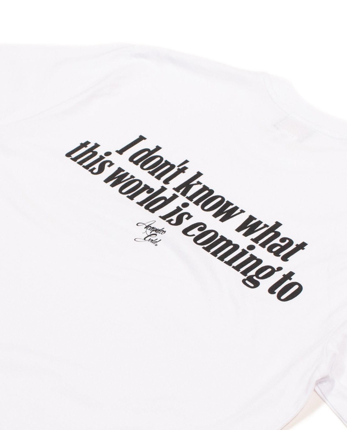 画像14: ACAPULCO GOLD(アカプルコゴールド) / GET IT TOGETHER TEE (14)