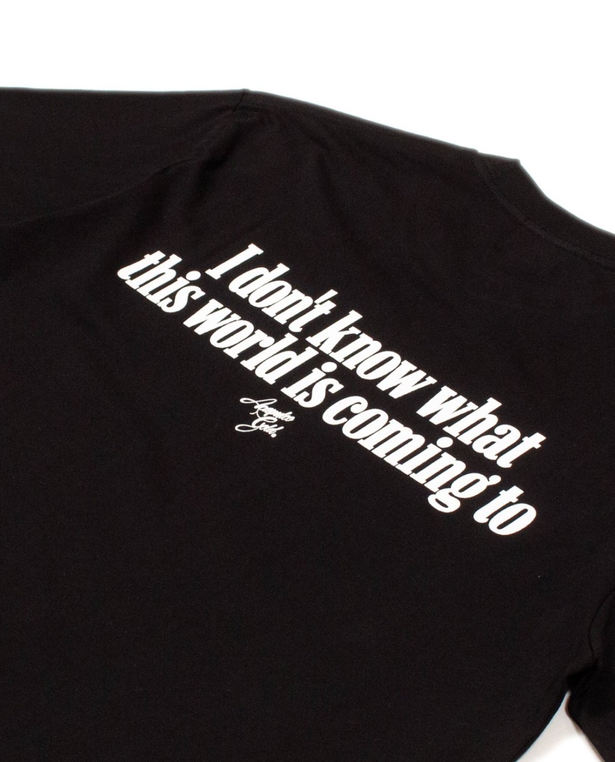 画像13: ACAPULCO GOLD(アカプルコゴールド) / GET IT TOGETHER TEE (13)