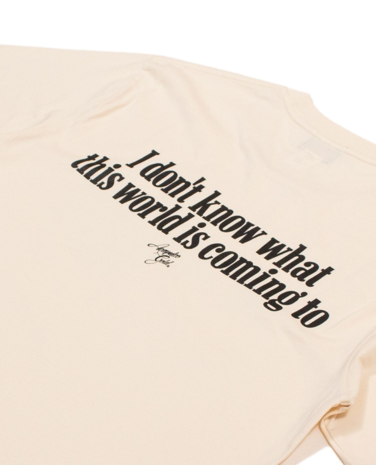 画像15: ACAPULCO GOLD(アカプルコゴールド) / GET IT TOGETHER TEE (15)