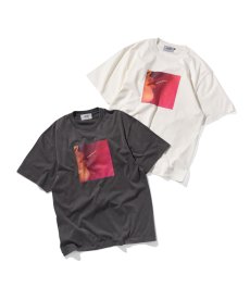 画像1: BLEND(ブレンド) / "Velvet Motion" TEE (1)