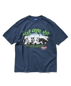 画像4: LFYT(ラファイエット) / WEISER DOGS TEE (4)