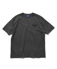 画像3: LFYT(ラファイエット) / EXPLORER TEE (3)