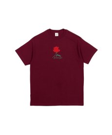 画像3: ACAPULCO GOLD(アカプルコゴールド) / PIMPIN' AIN'T EASY TEE (3)