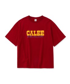 画像3: CALEE(キャリー) / CALEE LOGO TEE (3)