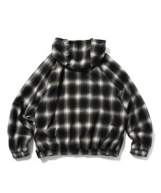 画像4: LFYT(ラファイエット) / OMBRE ANORAK JACKET (4)