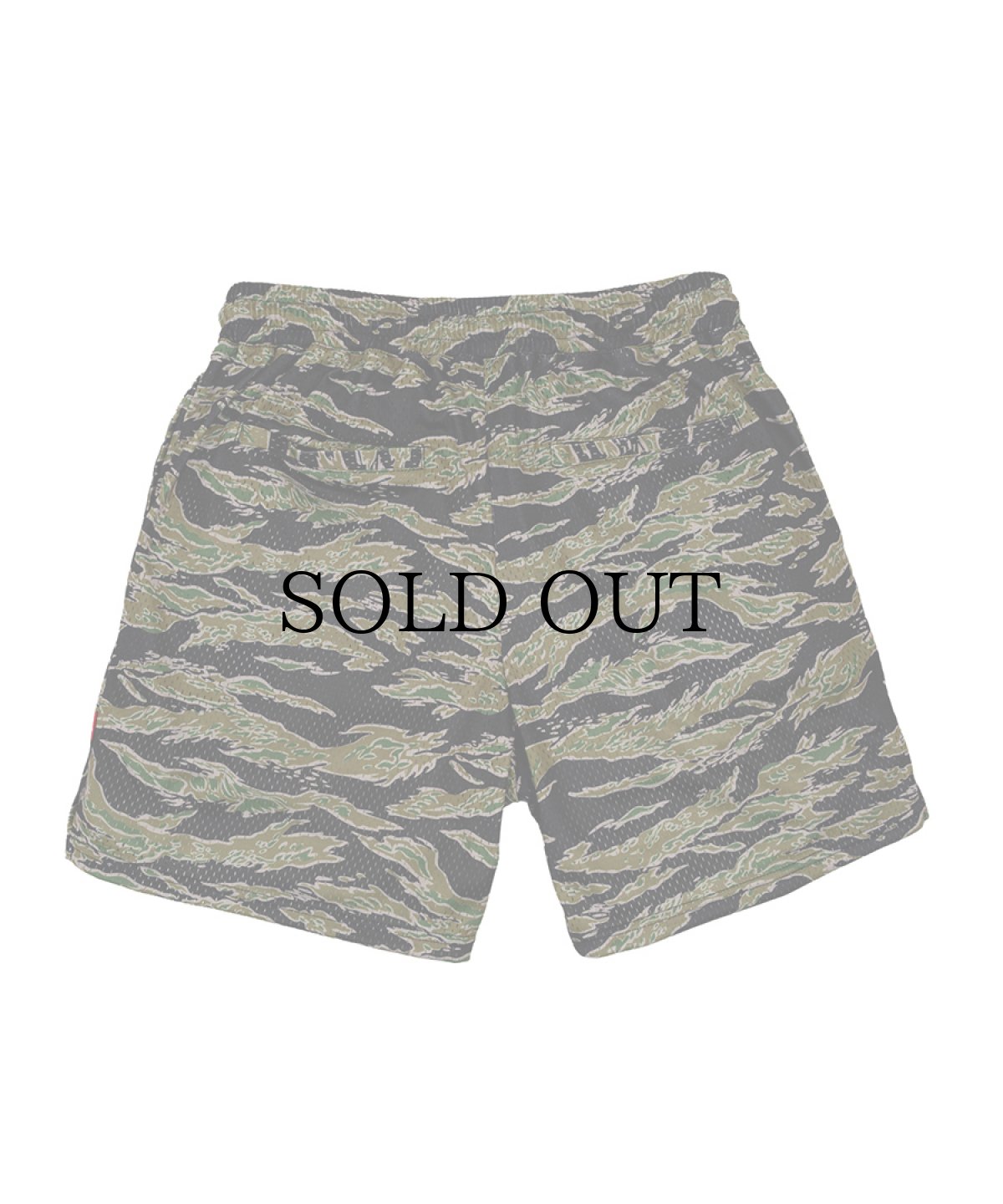 画像2: INTERBREED(インターブリード) / Airy Training Mesh Shorts (2)