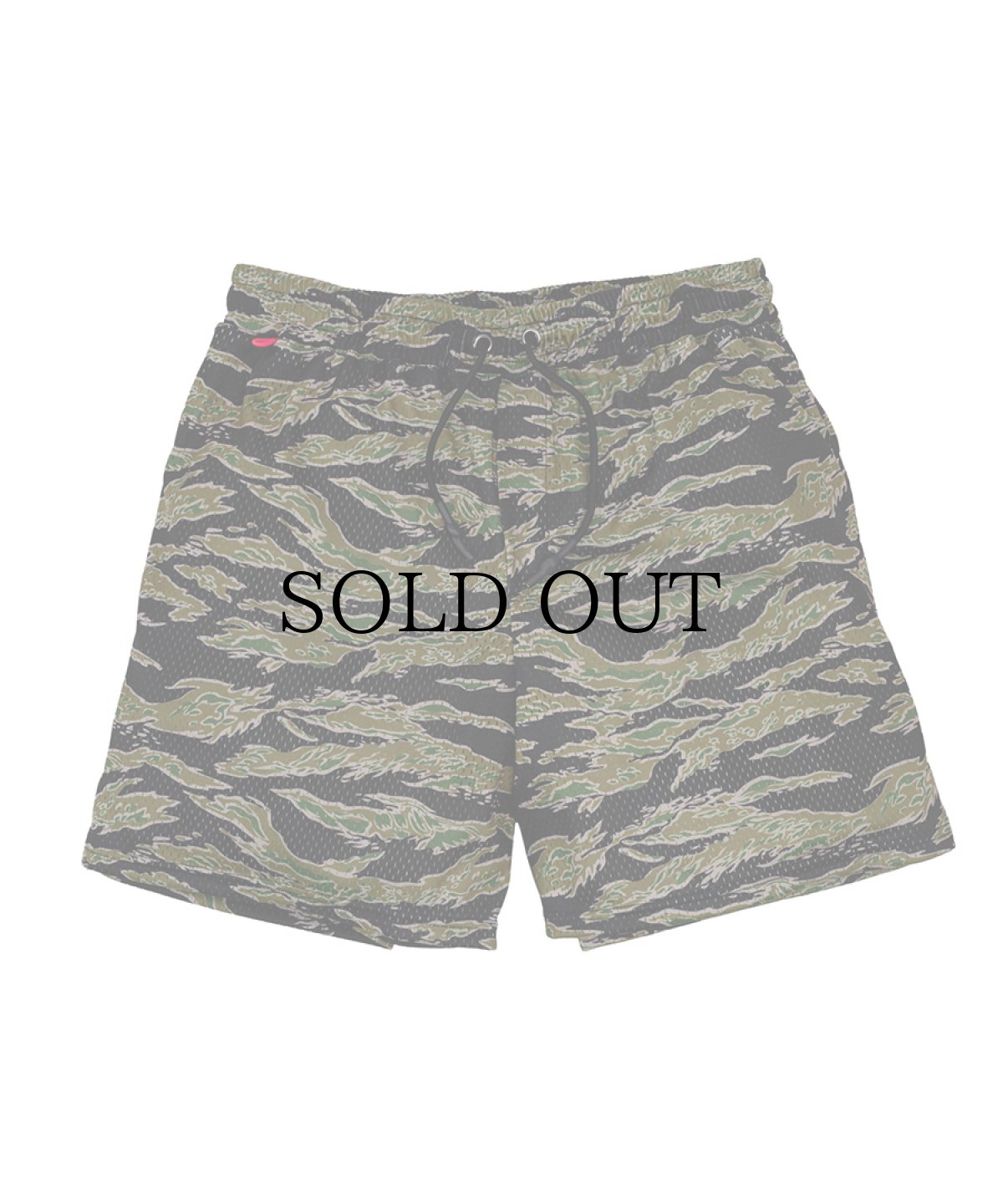 画像1: INTERBREED(インターブリード) / Airy Training Mesh Shorts (1)