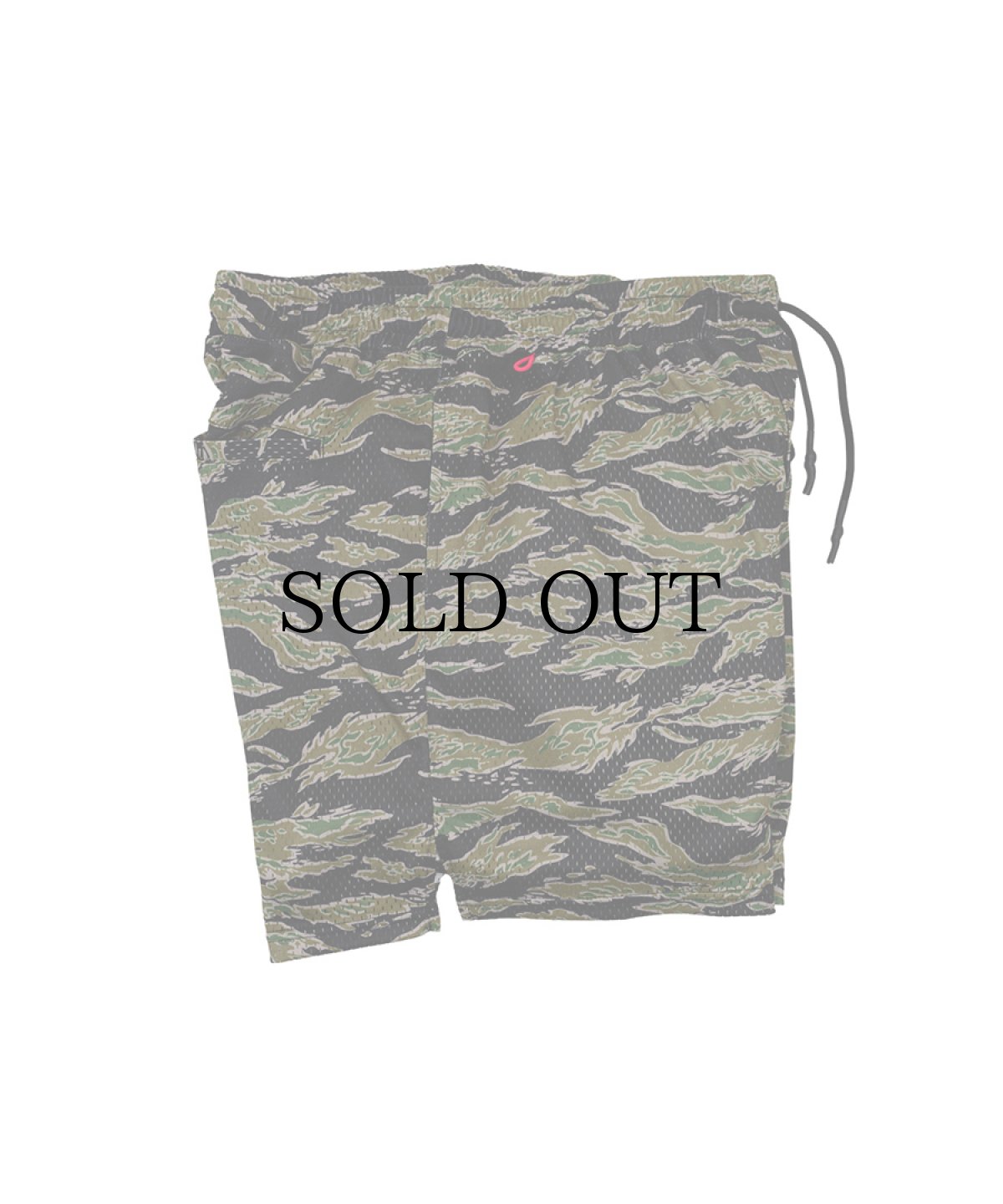 画像3: INTERBREED(インターブリード) / Airy Training Mesh Shorts (3)