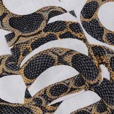画像5: CALEE(キャリー) / ALLOVER SNAKE PATTERN S/S SH (5)