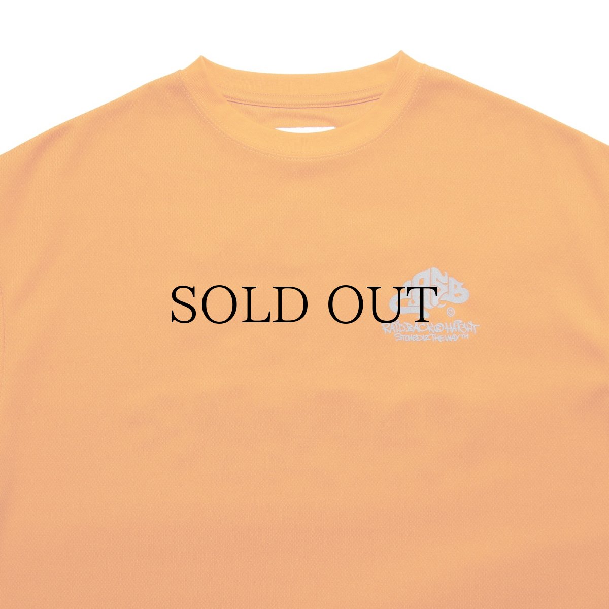 画像10: HAIGHT / RAIDBACK CRSB DRY Tee ft.CASPER (10)