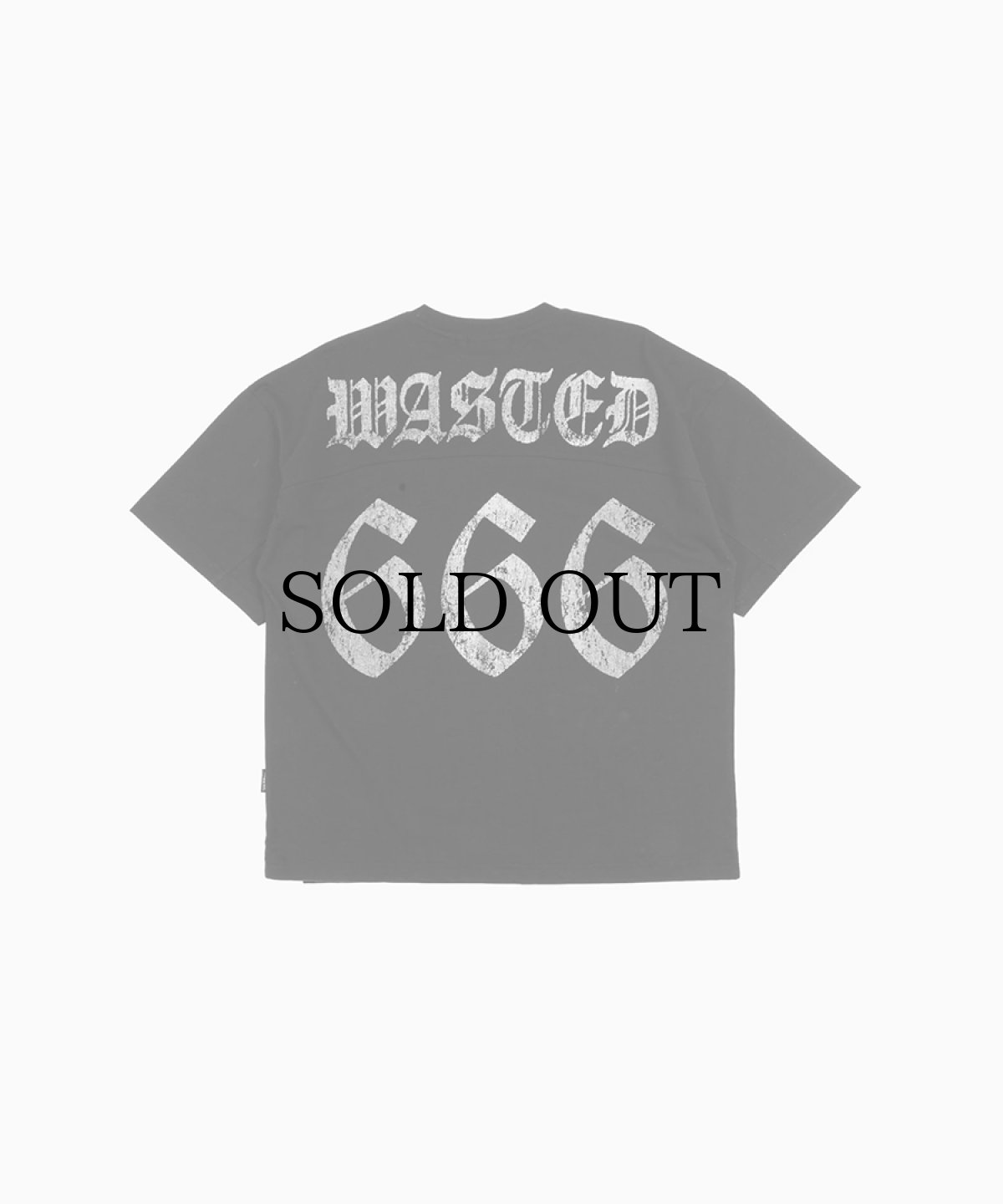 画像1: WASTED PARIS / BEAST BOXY T-SHIRT (1)
