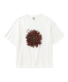 画像2: CALEE(キャリー) / DAHLIA ART TEE ＜MIHO MURAKAMI DESIGN＞ (2)