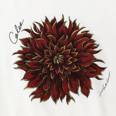 画像4: CALEE(キャリー) / DAHLIA ART TEE ＜MIHO MURAKAMI DESIGN＞ (4)