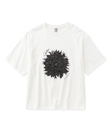 画像1: CALEE(キャリー) / DAHLIA ART TEE ＜MIHO MURAKAMI DESIGN＞ (1)