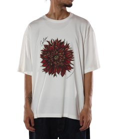 画像5: CALEE(キャリー) / DAHLIA ART TEE ＜MIHO MURAKAMI DESIGN＞ (5)