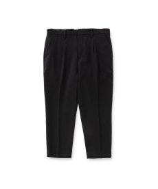 画像1: CALEE(キャリー) / VINTAGE TYPE CROPPED SLACKS (1)