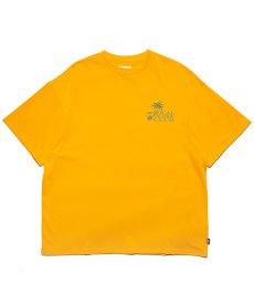 画像4: HAIGHT / LVC LOUD TREE Tee (4)