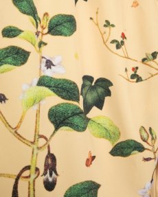 画像5: APPLEBUM(アップルバム) / “Edo Botanical” Hoopers Shorts (5)