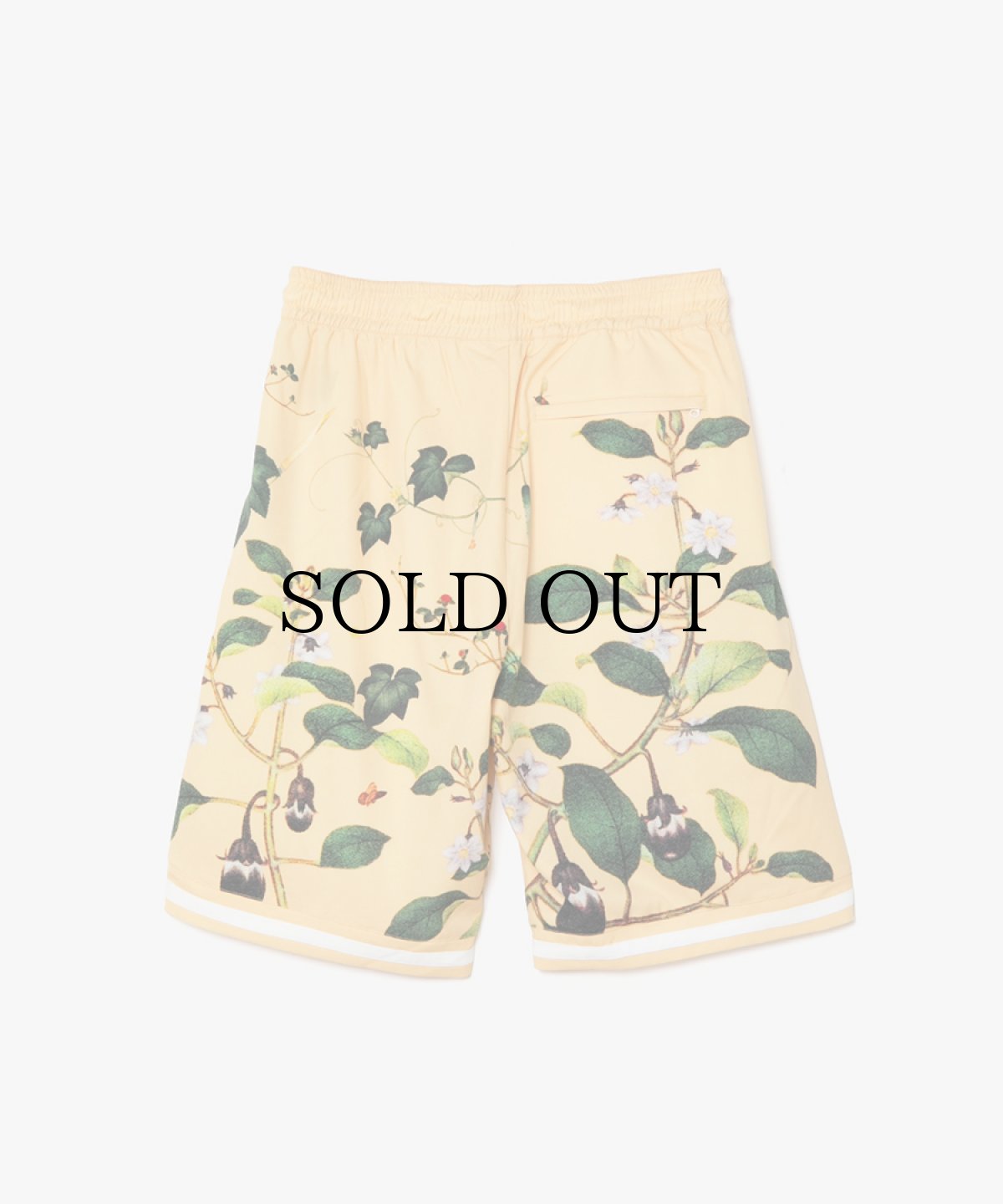 画像2: APPLEBUM(アップルバム) / “Edo Botanical” Hoopers Shorts (2)