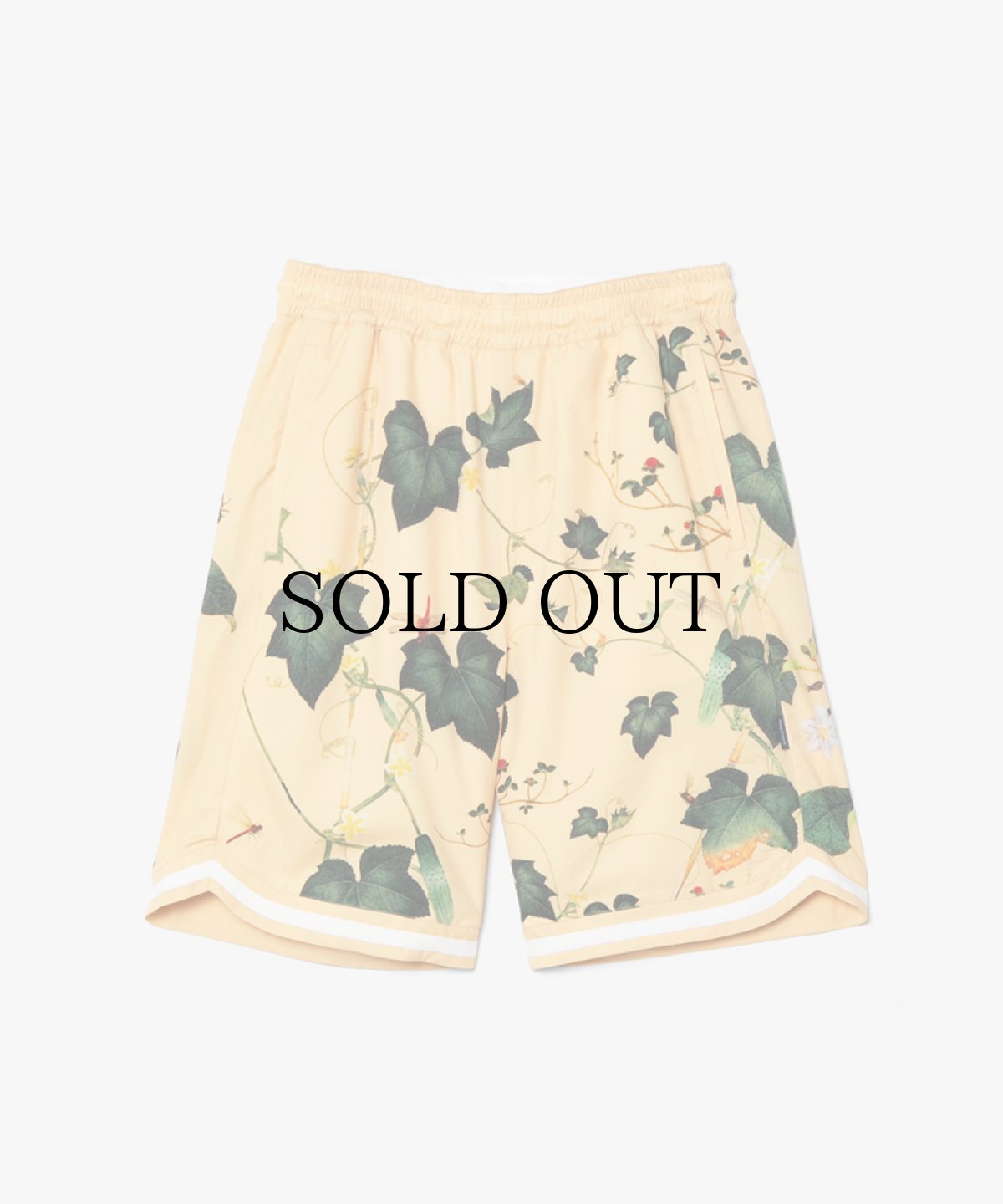 画像1: APPLEBUM(アップルバム) / “Edo Botanical” Hoopers Shorts (1)