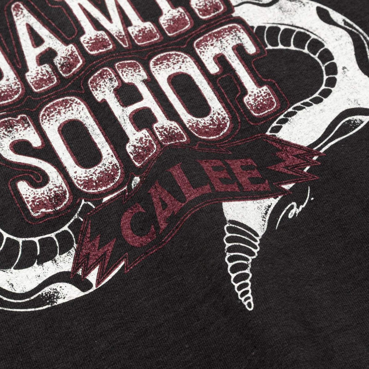 画像5: CALEE(キャリー) / GARMENT DYE SNAKE LOGO TEE ＜BARTHDAY WORKS DESIGN＞ (5)