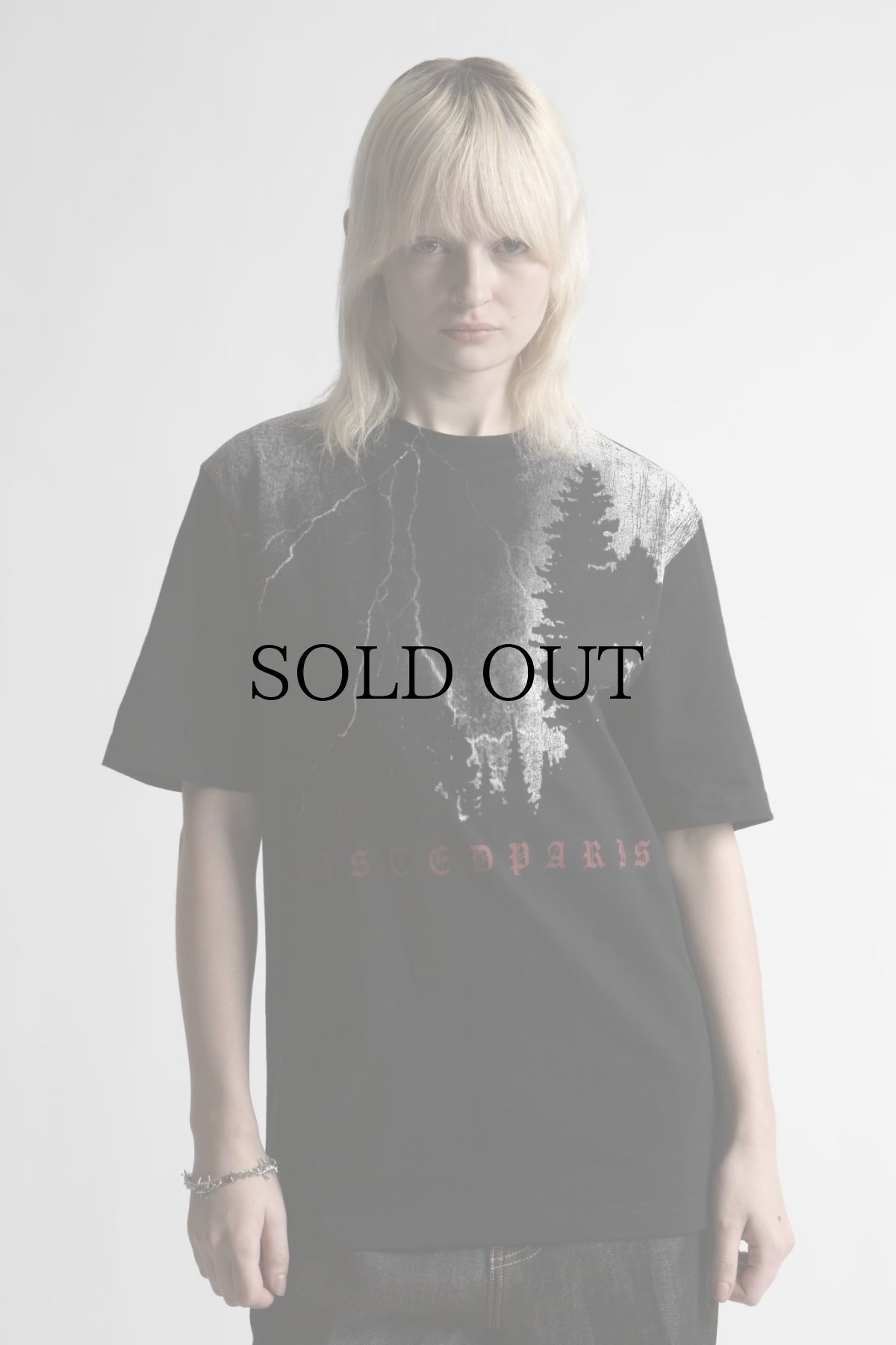 画像4: WASTED PARIS / BLACK HILL T-SHIRT (4)