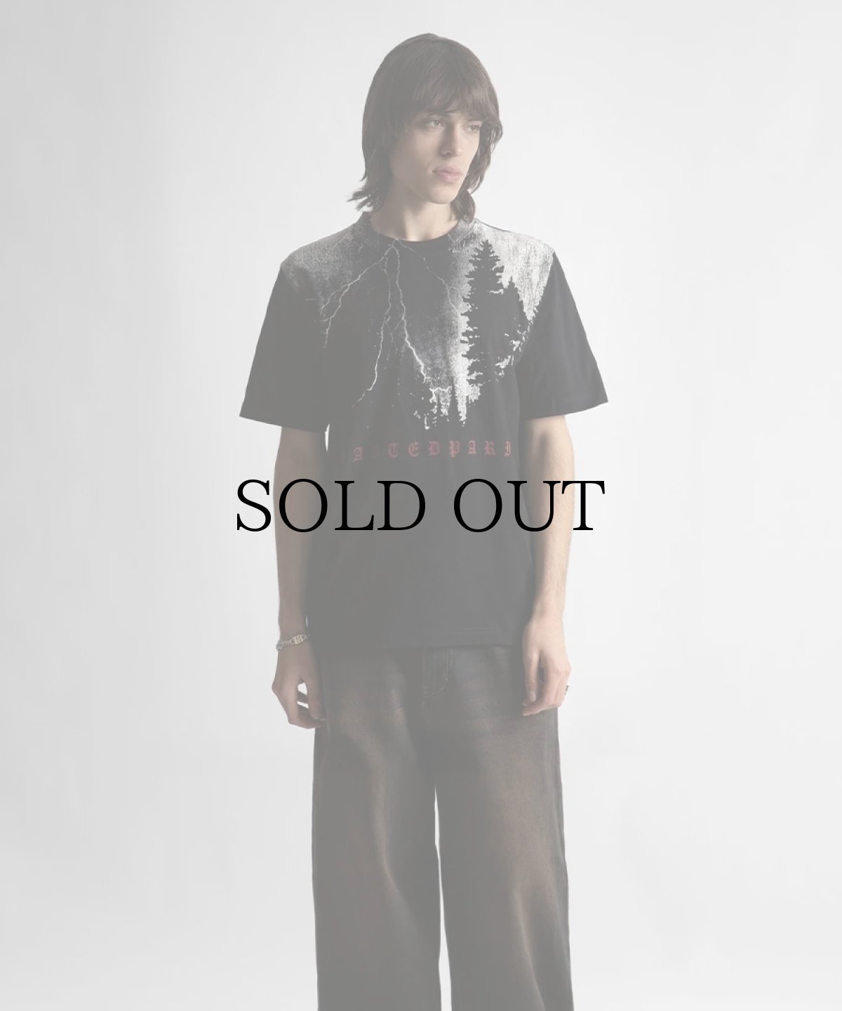 画像2: WASTED PARIS / BLACK HILL T-SHIRT (2)
