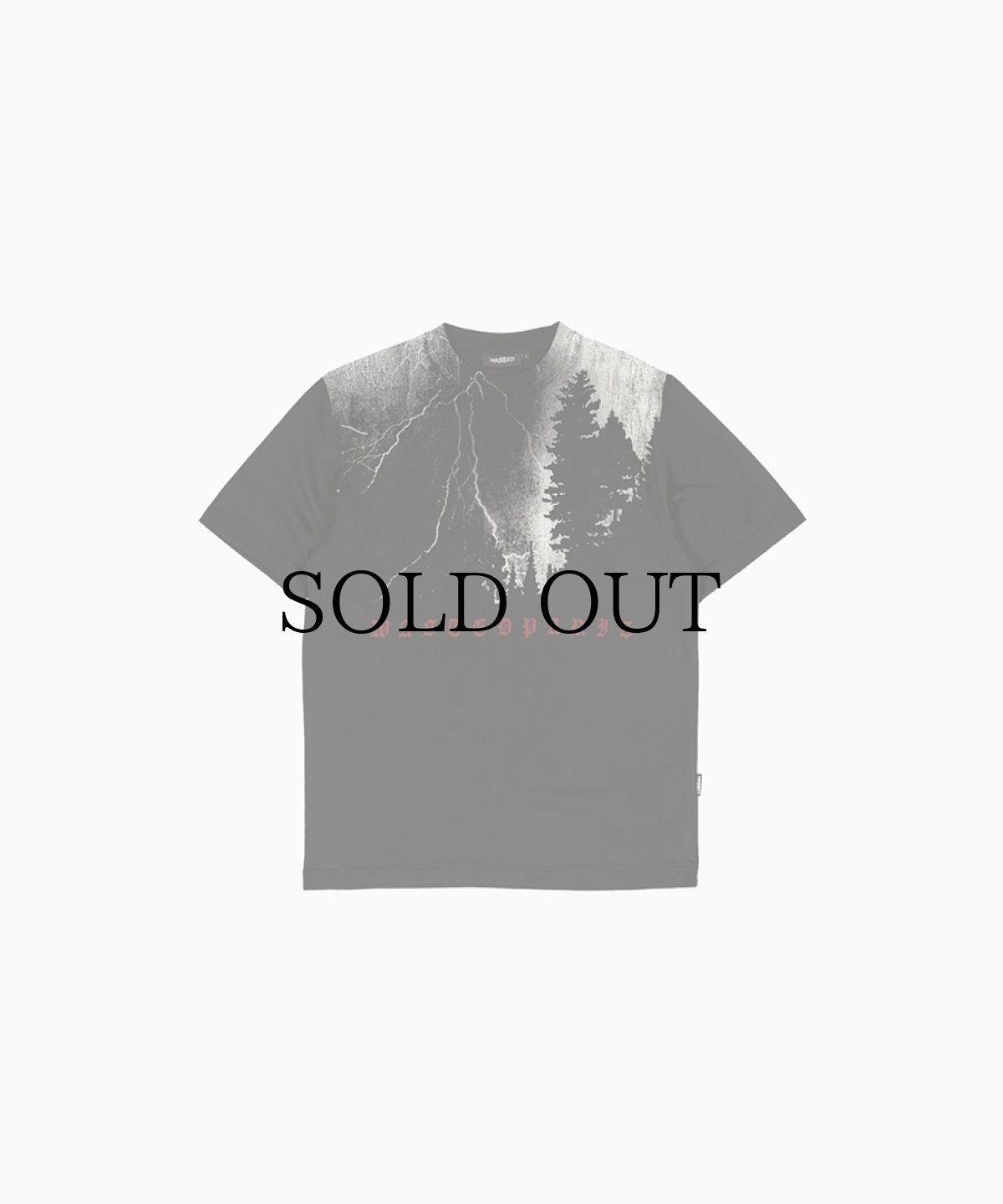 画像1: WASTED PARIS / BLACK HILL T-SHIRT (1)