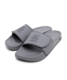 画像1: INTERBREED(インターブリード) / MAX Slider with shoe bag (1)