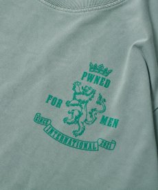 画像11: PWNED(パウンド) / EMBLEM EMBROIDERED WASHED S/S TEE (11)