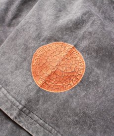 画像23: PWNED(パウンド) / EMBLEM EMBROIDERED WASHED S/S TEE (23)