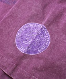 画像24: PWNED(パウンド) / EMBLEM EMBROIDERED WASHED S/S TEE (24)